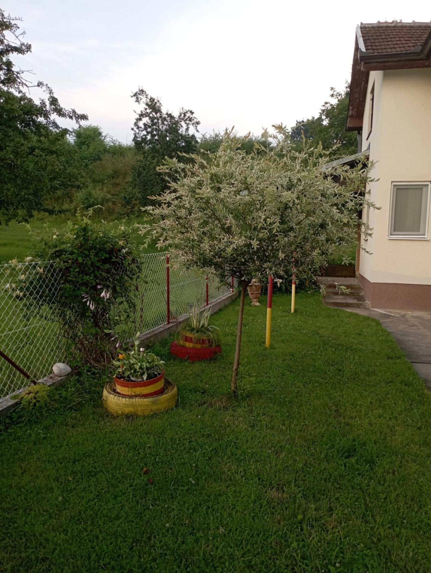 Kuca Za Odmor Zicanka Kraljevo Exterior foto
