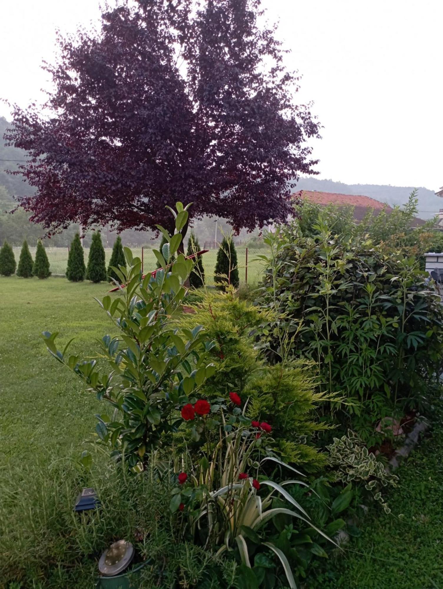 Kuca Za Odmor Zicanka Kraljevo Exterior foto