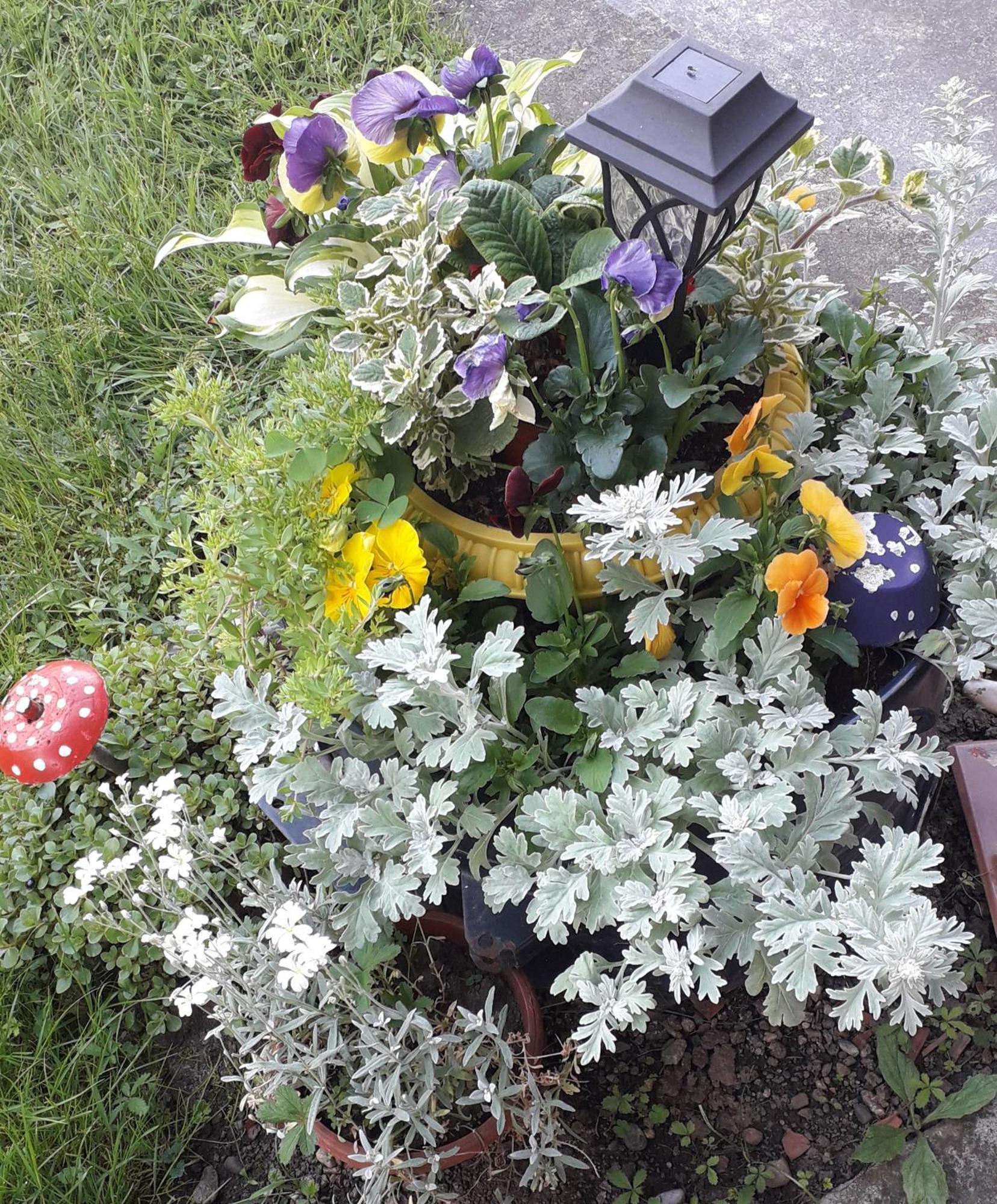 Kuca Za Odmor Zicanka Kraljevo Exterior foto
